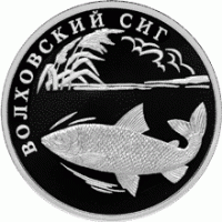 1 рубль 2005 г. Красная книга - Волховский сиг, серебро